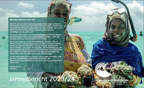 screenshot annual report